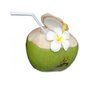CHAOKOH Pure Kokosnuss Wasser (aus Jungen Kokosnüsse) 1 L