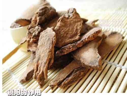 Rou Cong Rong, Chinesische Kräuter Tee, Cistanche, Herba Cynomorii 50g