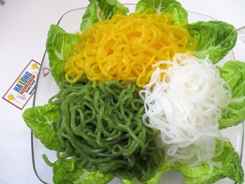 Shirataki Nudeln aus Konjakwurzel & Gemüse 25er Pack